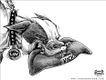 Political Cartoons by Cox & Forkum