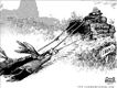 Political Cartoons by Cox & Forkum