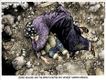 Political Cartoons by Michael Ramirez