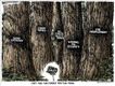Political Cartoons by Michael Ramirez