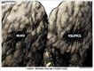 Political Cartoons by Michael Ramirez