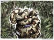Political Cartoons by Michael Ramirez