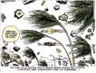 Political Cartoons by Michael Ramirez