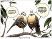 Political Cartoons by Michael Ramirez