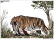 Political Cartoons by Michael Ramirez