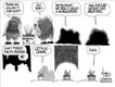 Political Cartoons by Paul Nowak