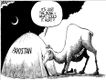 Political Cartoons by Robert Ariail