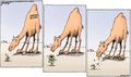 Political Cartoons by Robert Ariail