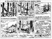 Political Cartoons by Chuck Asay