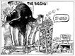 Political Cartoons by Chuck Asay