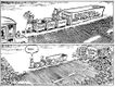 Political Cartoons by Chuck Asay