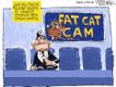 Political Cartoons by Chip Bok