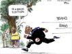 Political Cartoons by Chip Bok