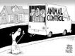 Political Cartoons by Glenn McCoy