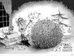 Political Cartoons by Glenn McCoy