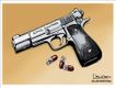 Political Cartoons by Lisa Benson