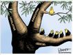Political Cartoons by Lisa Benson