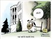 Political Cartoons by Lisa Benson