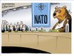 Political Cartoons by Lisa Benson