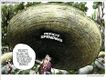Political Cartoons by Michael Ramirez