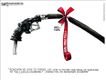 Political Cartoons by Michael Ramirez