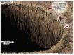 Political Cartoons by Michael Ramirez