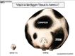 Political Cartoons by Michael Ramirez