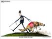 Political Cartoons by Michael Ramirez
