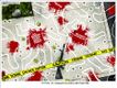 Political Cartoons by Michael Ramirez
