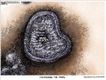 Political Cartoons by Michael Ramirez