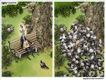 Political Cartoons by Michael Ramirez