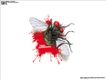 Political Cartoons by Michael Ramirez