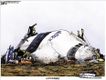 Political Cartoons by Michael Ramirez