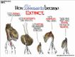 Political Cartoons by Michael Ramirez