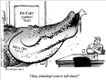 Political Cartoons by Henry Payne