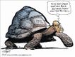 Political Cartoons by Henry Payne