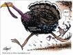 Political Cartoons by Henry Payne