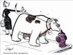 Political Cartoons by Henry Payne