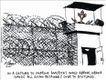 Political Cartoons by Henry Payne