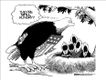 Political Cartoons by Steve Breen