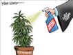 Political Cartoons by Steve Breen