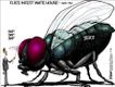 Political Cartoons by Steve Breen