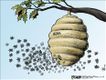 Political Cartoons by Steve Breen