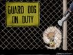 Political Cartoons by Steve Breen