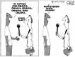 Political Cartoons by Steve Kelley
