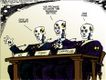Political Cartoons by Scott Stantis