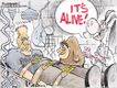 Political Cartoons by Dana Summers