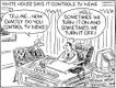 Political Cartoons by Wayne Stayskal