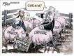 Political Cartoons by Gary Varvel