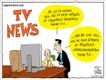 Political Cartoons by Larry Wright